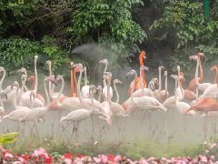 侦探调查婚姻取证-一个男人有三个老婆，而且都