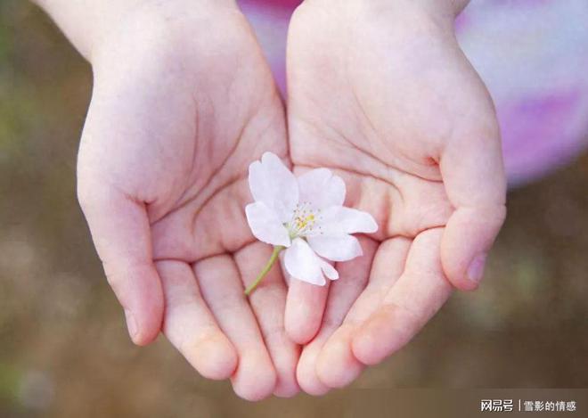 婚外情要离婚吗_婚外情该怎么办_婚外情需要哪些证据