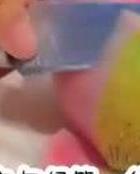 婚外情可以有吗_婚外情可以离婚吗_婚外情可以继续吗