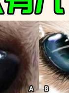 等待出轨的男人是什么片_出轨等待男人的表现_等待出轨的男人