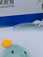 事务调查所包括范围_事务调查所_调查事务所